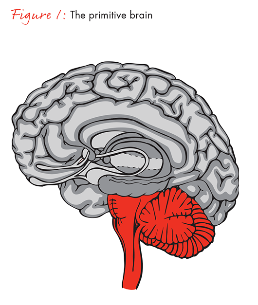 the-science-of-centeredness-fig01_embed the-science-of-centeredness-fig01_embed