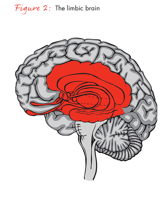 the-science-of-centeredness-fig02_embed the-science-of-centeredness-fig02_embed
