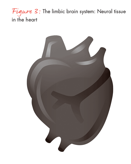 the-science-of-centeredness-fig03_embed the-science-of-centeredness-fig03_embed