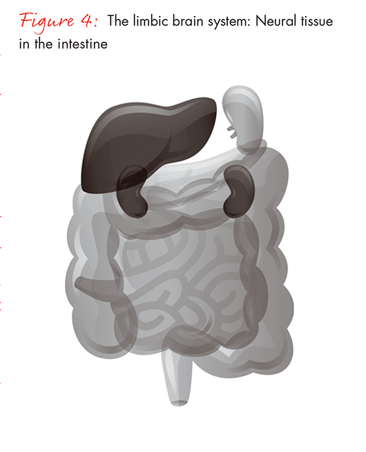 the-science-of-centeredness-fig04_embed the-science-of-centeredness-fig04_embed