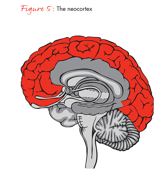 the-science-of-centeredness-fig05_embed the-science-of-centeredness-fig05_embed
